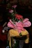 DSC02254.JPG